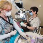 Dental staff working with tools
